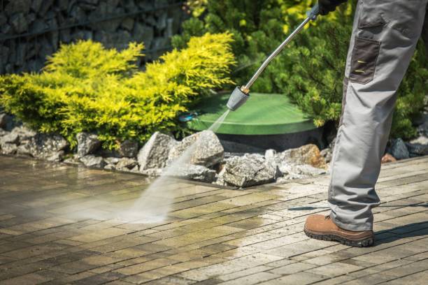 Best Boat and Dock Cleaning  in Mundelein, IL