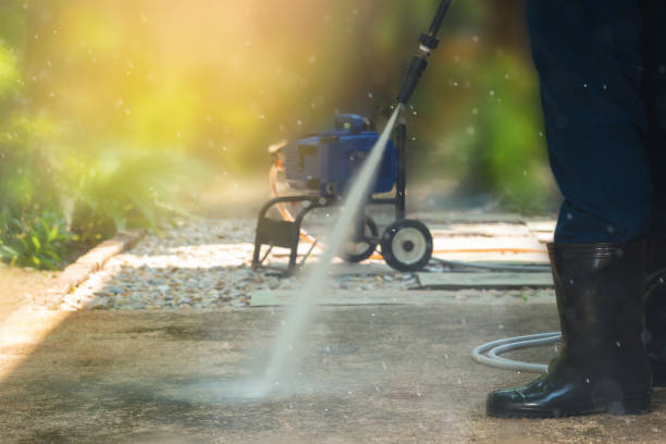 Best Animal Enclosure Cleaning  in Mundelein, IL